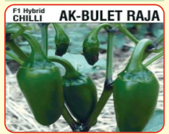 Alaknanda F1 Hybrid Chilli AK- Bulet Raja