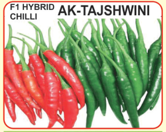 Alaknanda F1 Hybrid Chilli AK-Tajshwini