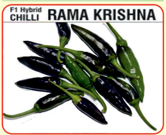Alaknanda F1 Hybrid Rama Krishna