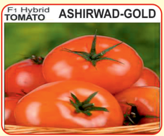 Alaknanda hybrid seeds tomato seed:- ashirwad gold