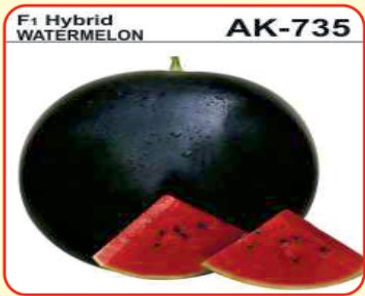 Alaknanda F1 Hybrid Watermelon AK-735