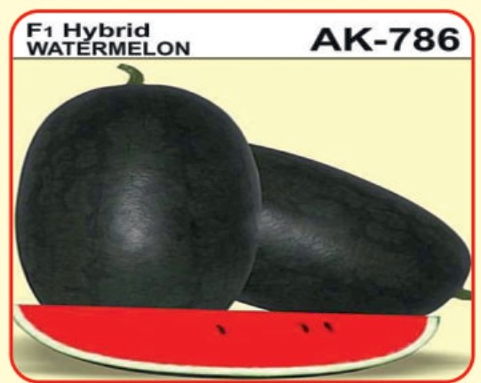 Alaknanda F1 Hybrid Watermelon AK- 786